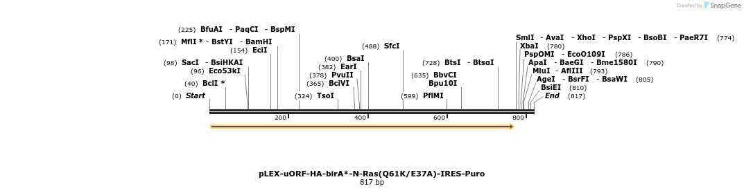228988_map