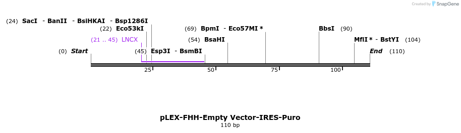 228994_map