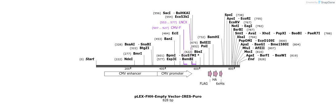 228995_map