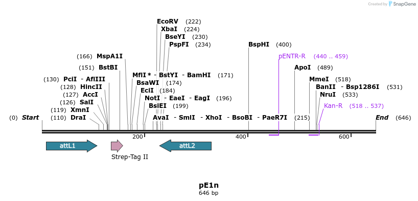 22900_map