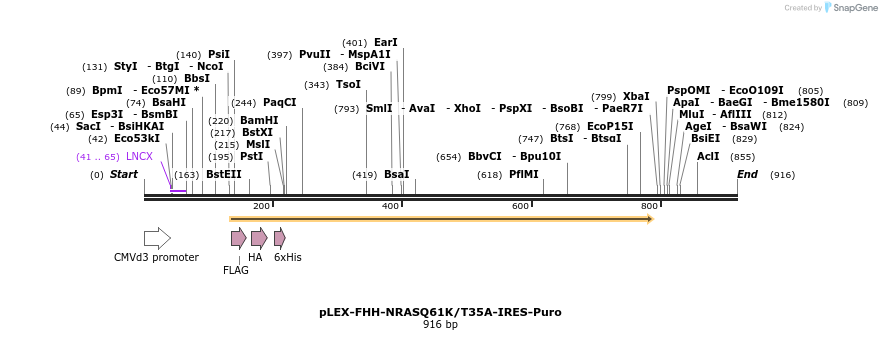 229002_map