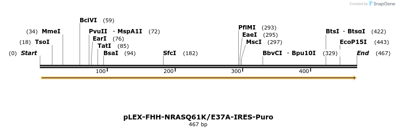229006_map