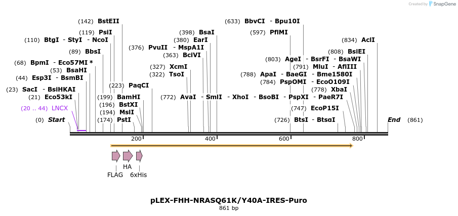 229008_map