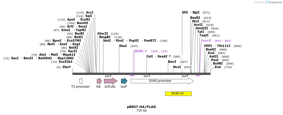 22901_map