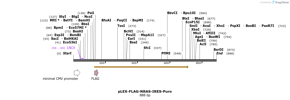229012_map