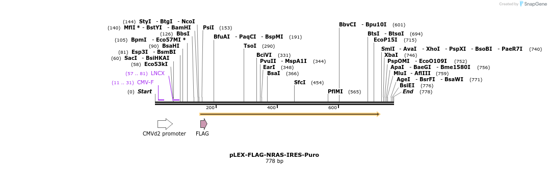 229013_map