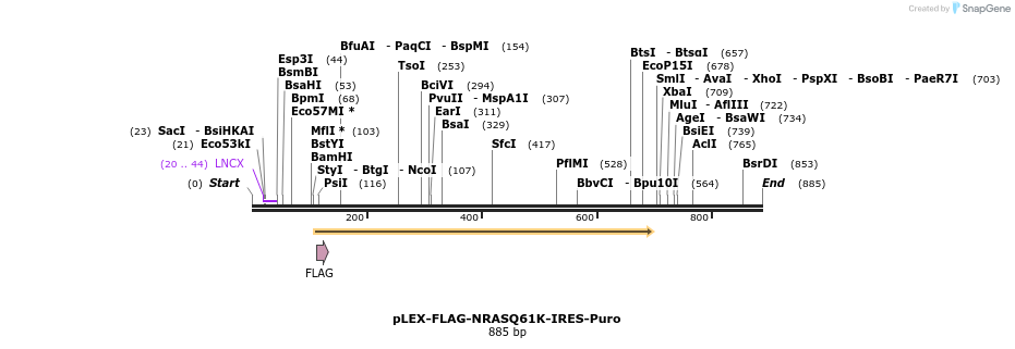229015_map