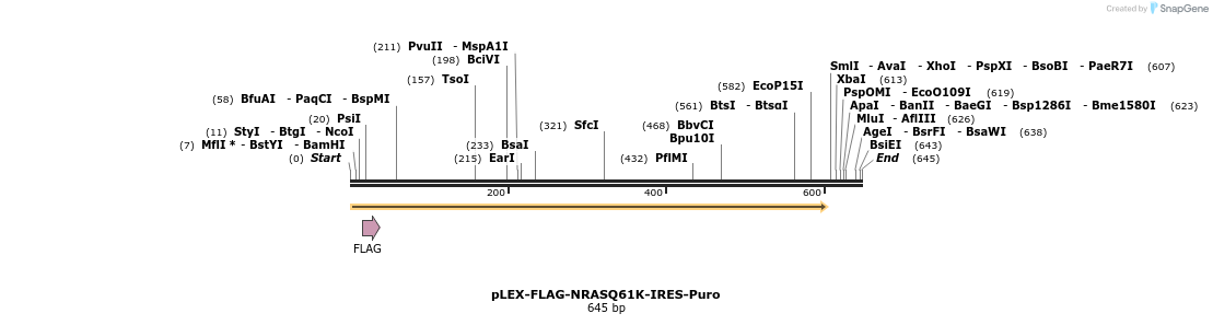 229018_map