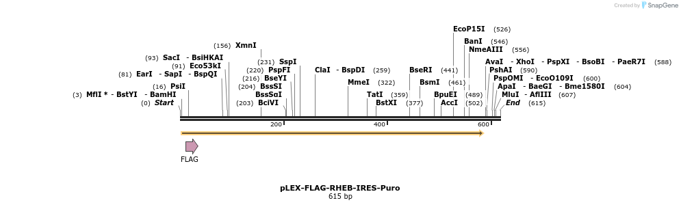 229021_map