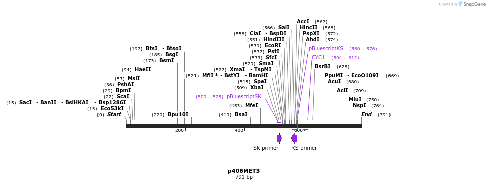 22903_map