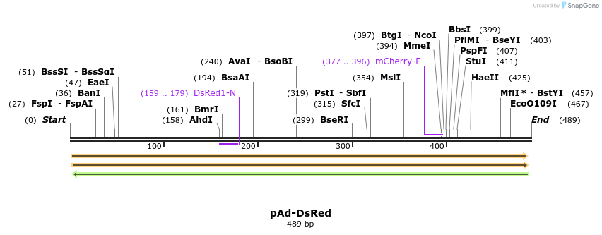 22904_map