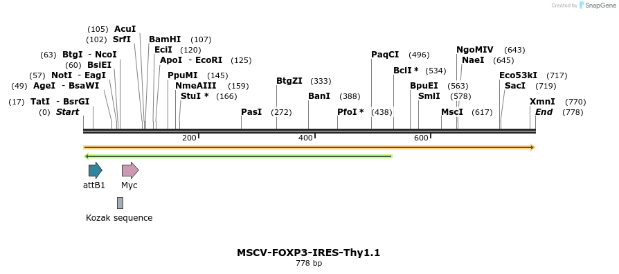 22905_map