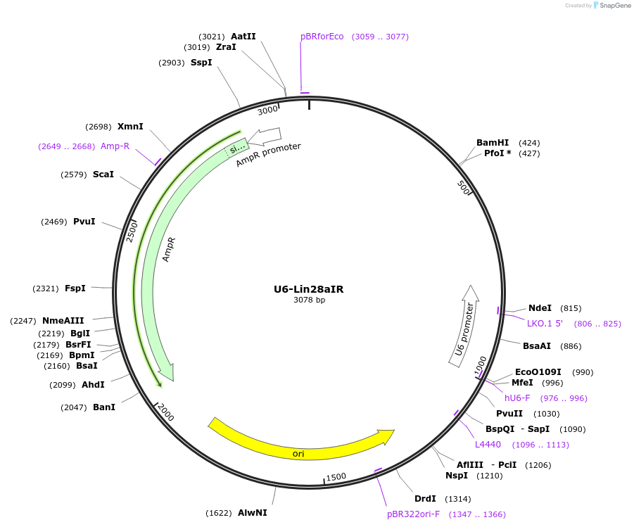 229057_map
