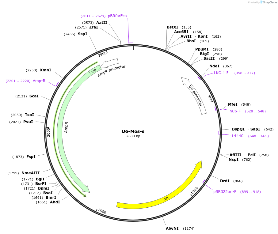 229061_map