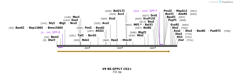 22913_map