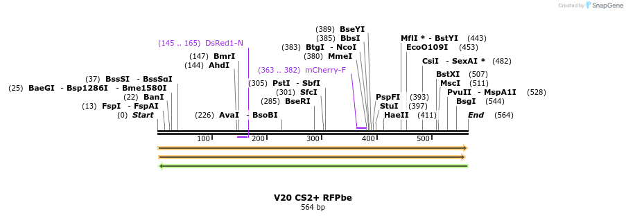 22917_map