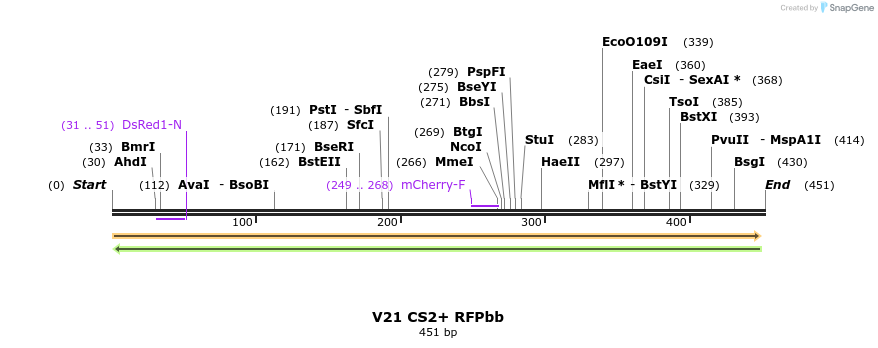 22918_map