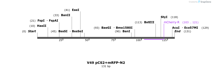 22924_map