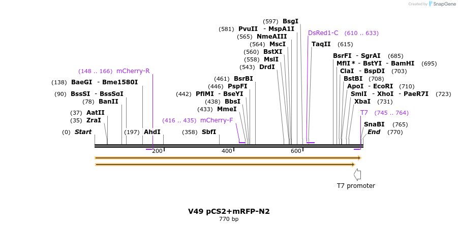 22925_map