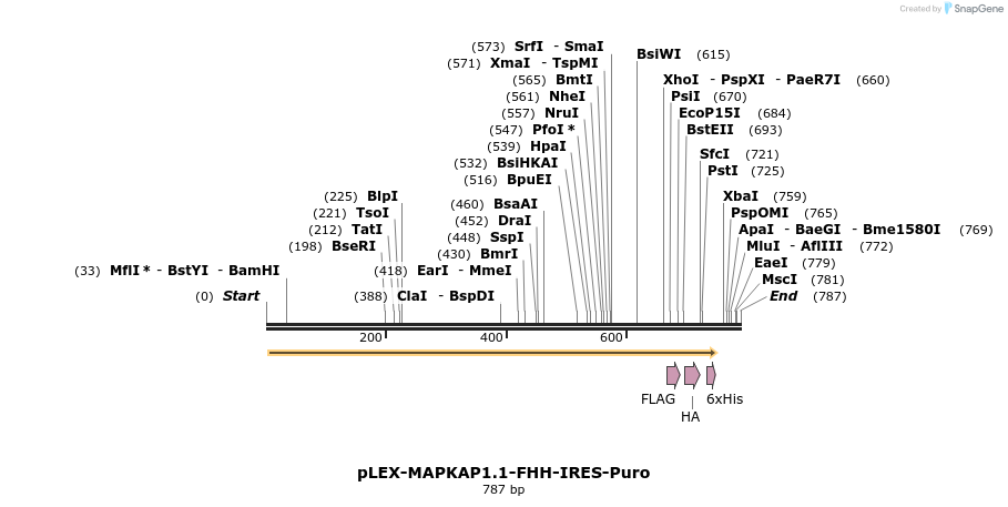 229259_map