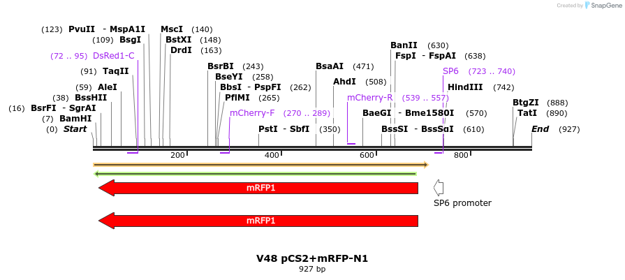 22927_map