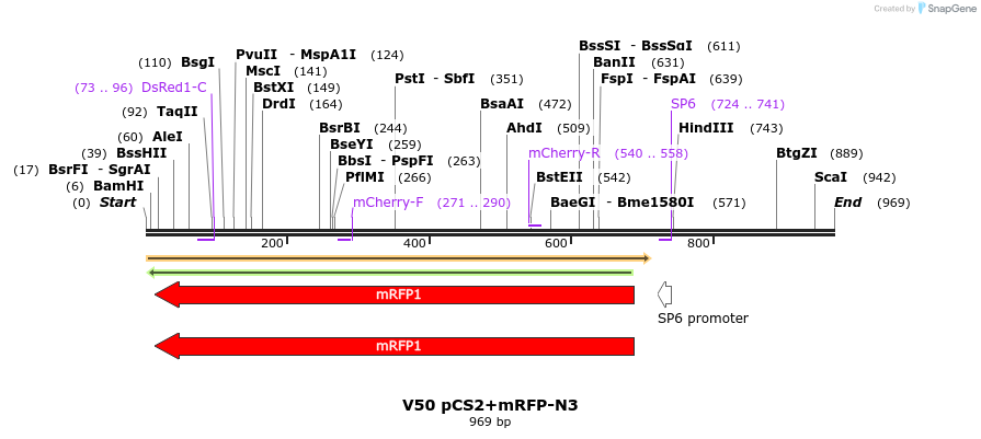 22928_map