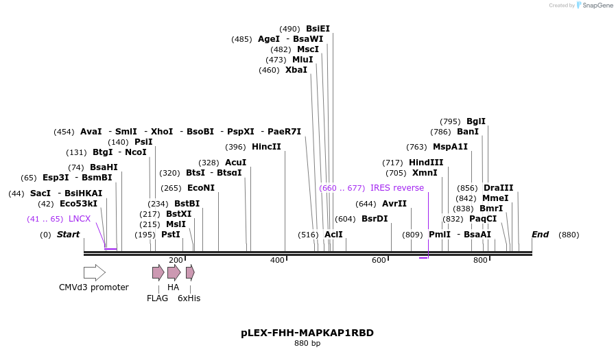 229288_map