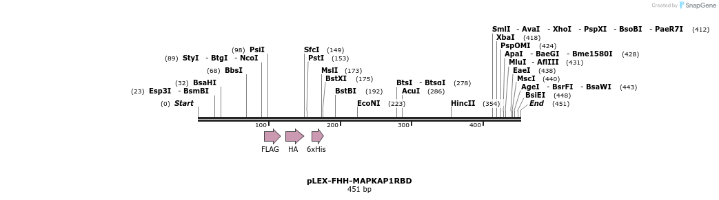 229289_map