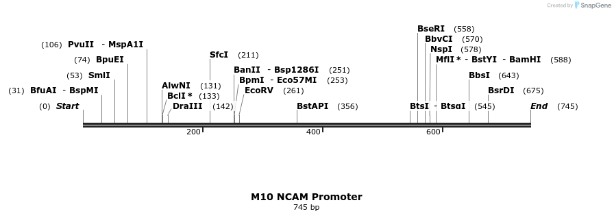 22929_map