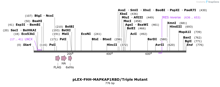 229293_map