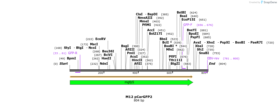 22932_map