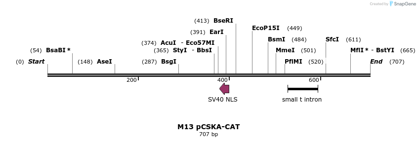 22933_map