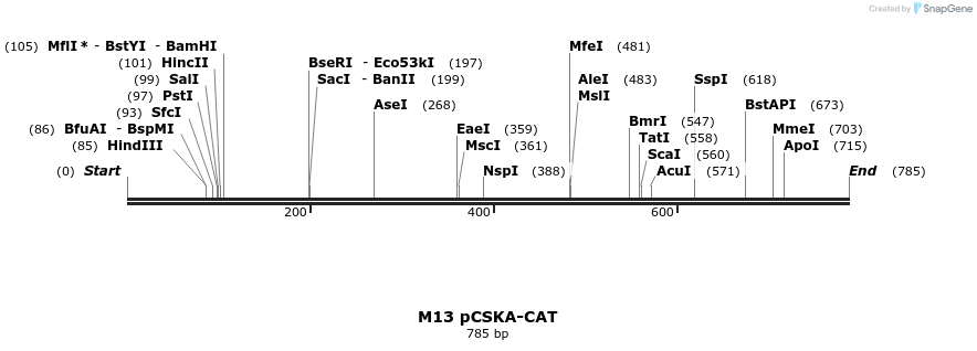 22934_map
