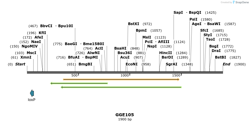 229344_map