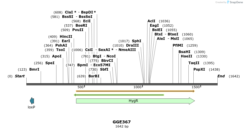 229346_map