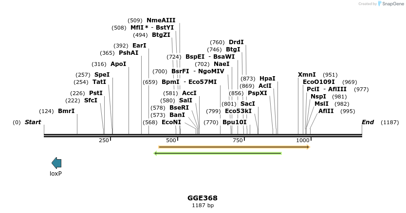 229347_map