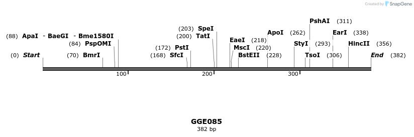 229348_map