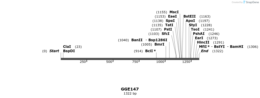 229353_map