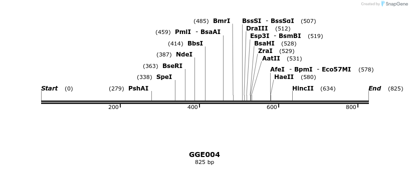 229359_map