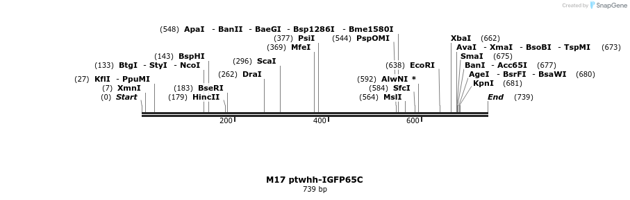 22937_map