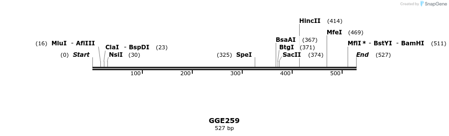 229374_map