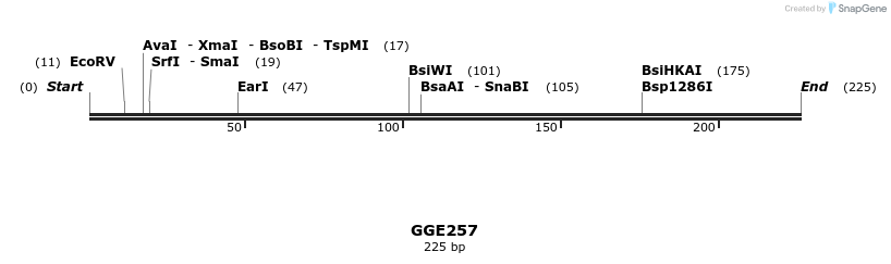 229381_map