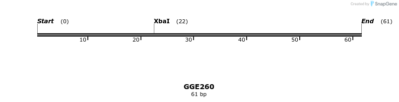 229383_map
