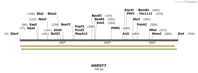 229389_map