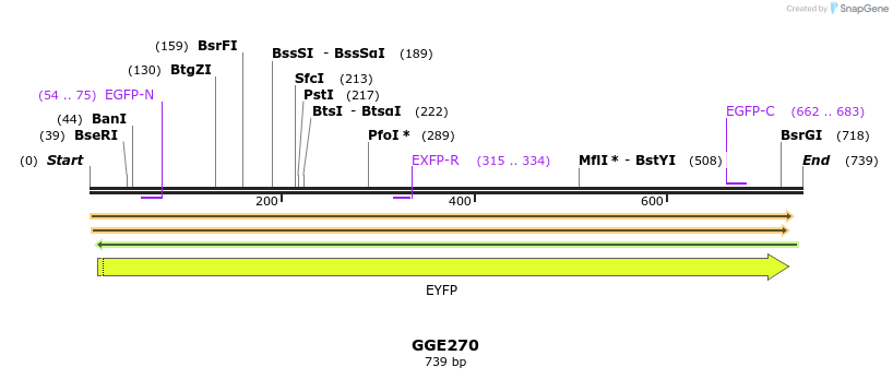 229390_map