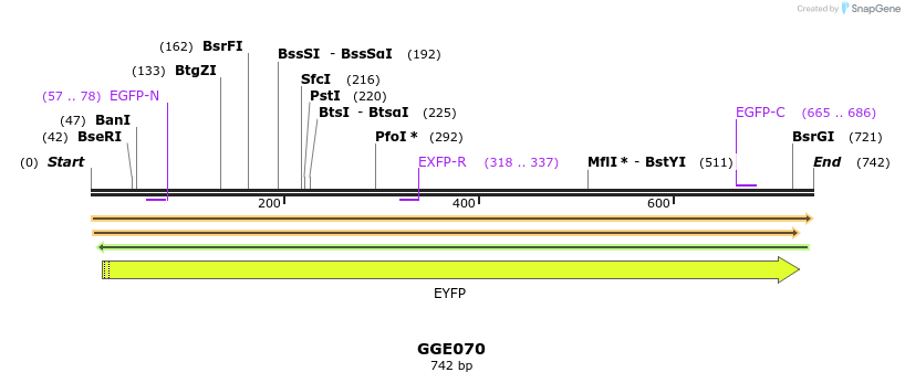 229392_map