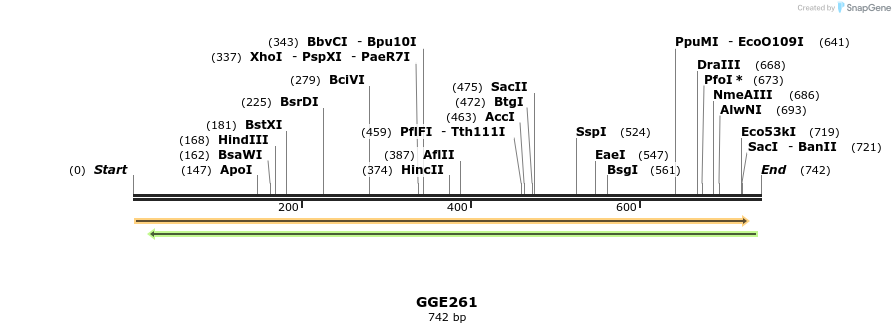 229393_map