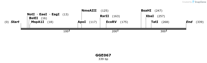 229394_map