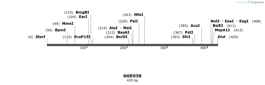 229395_map