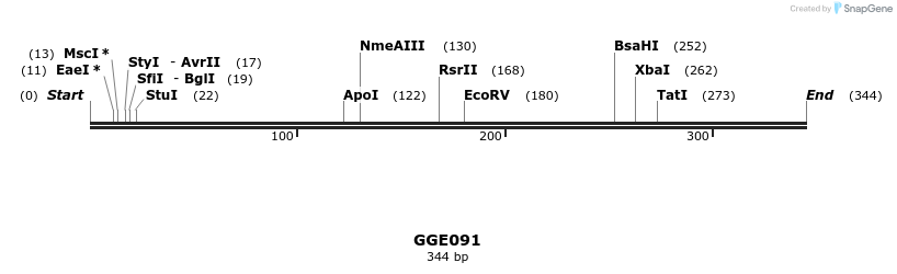 229396_map